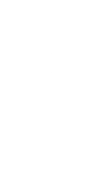 Ảnh 39