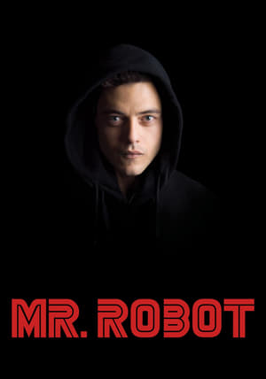 Mr. Robot cover