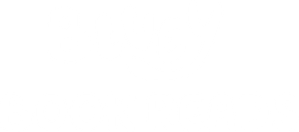 Bluey Book Reads