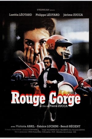Image Rouge-gorge