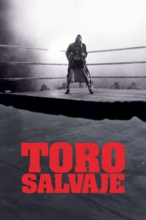 Poster Toro salvaje 1980