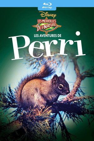 Perri 12