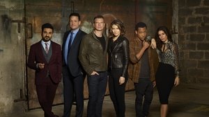 Whiskey Cavalier (2019), serial online subtitrat în Română