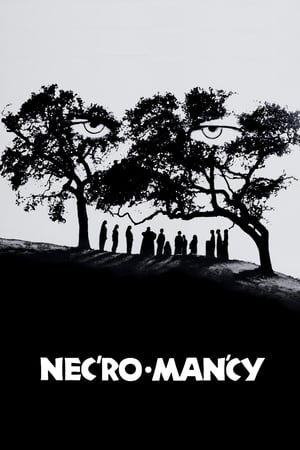 Necromancy poster