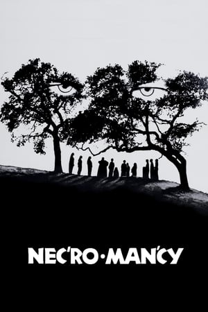 Poster Necromancy 1972