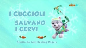 Paw Patrol 2×11