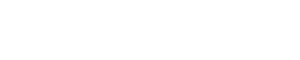 Shin Kamen Rider — Logos 2