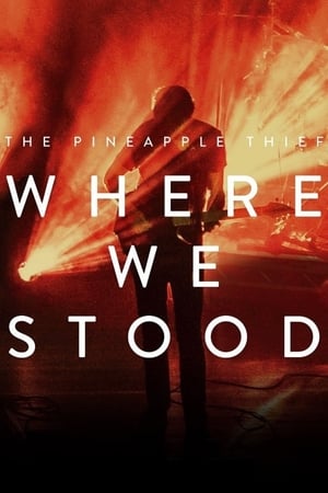 Poster The Pineapple Thief: Where We Stood (2017)