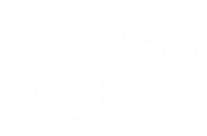 Scooby-Doo! e o Fantasma da Ópera
