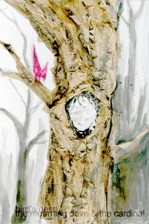 bird's nest (the mourning dove and the cardinal) (2026)