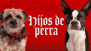 Images posters