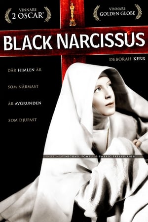 Poster Svart narcissus 1947