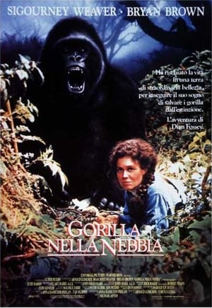 Poster Gorilla nella nebbia 1988