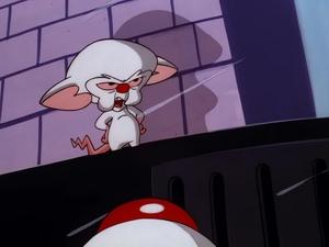 Pinky & der Brain: 3×49