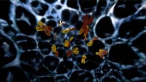 Rrbzfxeajvu33qpwxh7x9q4skbt