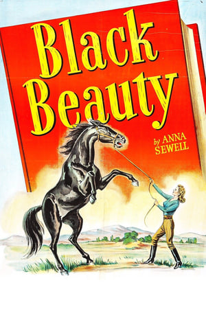 Poster Black Beauty 1946