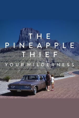 Poster The Pineapple Thief: Your Wilderness (2017)