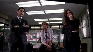 Mentes criminales: 9×22