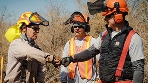 Father and Son Fire Mitigation