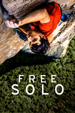 poster Free Solo