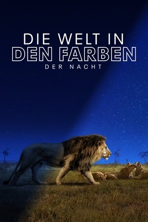 Image Die Welt in den Farben der Nacht