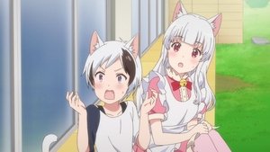 Uchitama?! ~Uchi no Tama Shirimasen ka~?: Saison 1 Episode 1