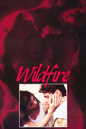 Poster di Wildfire