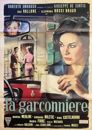 Poster La garçonnière 1960