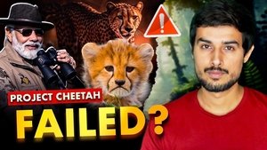 Why Modi Govt’s Project Cheetah has FAILED?