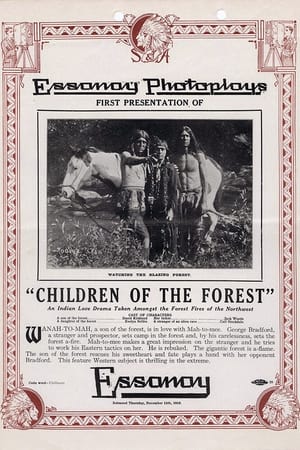 Poster Children of the Forest (1913)