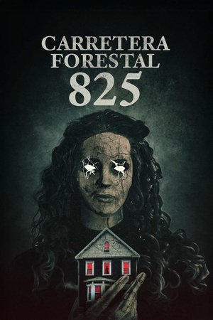 Image 825 Forest Road