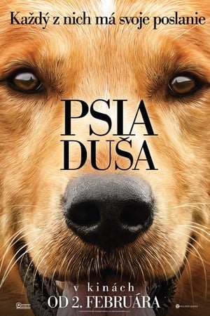 Psia duša