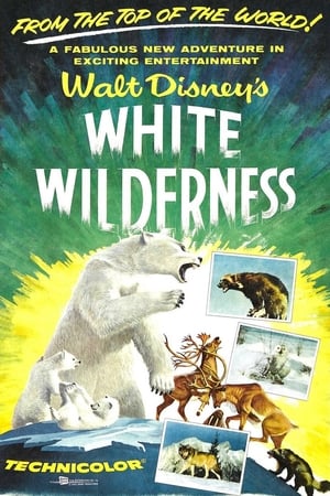 Poster White Wilderness 1958