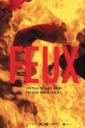 Poster Feux (2015)