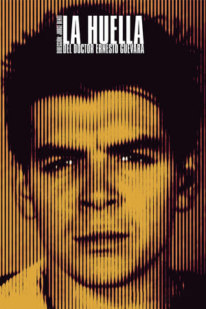 Poster The Traces of Dr. Ernesto Guevara (2013)