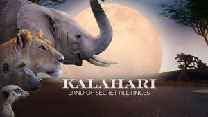 Kalahari: Land of Secret Alliances (2022)