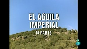 Episode 62