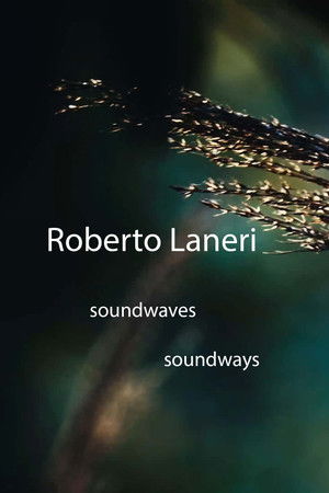 Roberto Laneri: Soundwaves Soundways