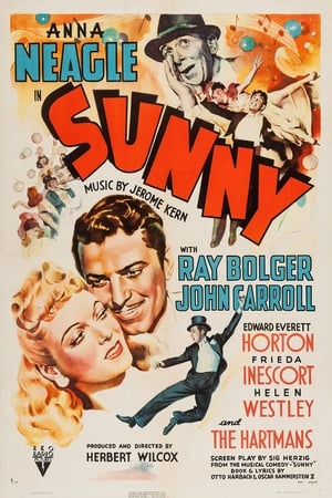 Poster Sunny 1941