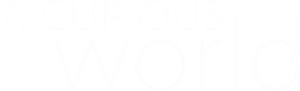 A Curious World