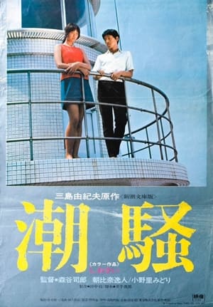 Poster 潮騒 1971