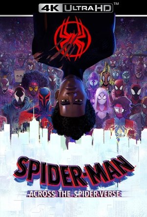 poster Spider-Man: Across the Spider-Verse