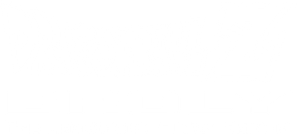 Dragon Ball Z: O Poder Invencível — Logos 8
