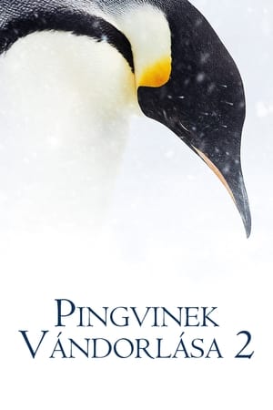 Poster Pingvinek vándorlása 2. 2017