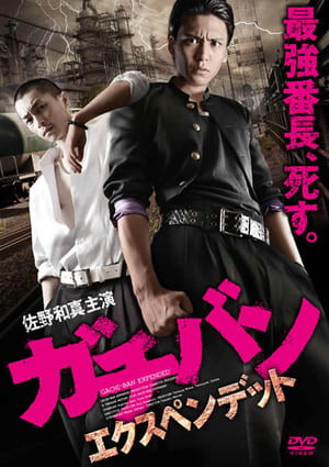 Poster ガチバン　エクスペンデッド 2013