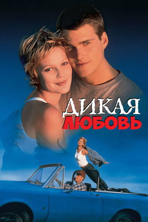 Wild Love