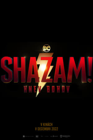 poster Shazam! Fury of the Gods