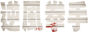 Boxer — Logos 11