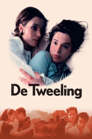 Poster De Tweeling 2002