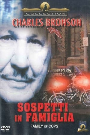 Poster Sospetti in famiglia 1995